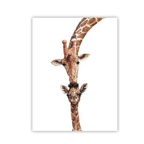 Poster Giraffe with baby