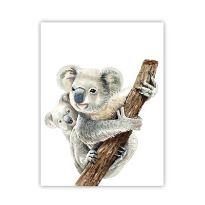 Poster Koala e bambino