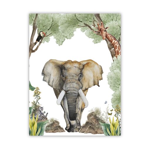 Poster Elephant jungle