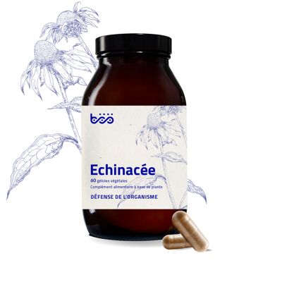 60 capsules of echinacea