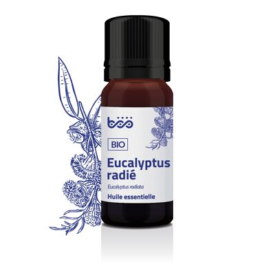 Huile essentielle d'eucalyptus radié bio