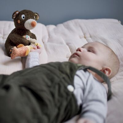 Peluche orsetto musicale, meccanismo senza batterie, venduto con il libretto che racconta la storia di WOODOURS