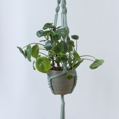 Porte-plantes en macramé eucalyptus