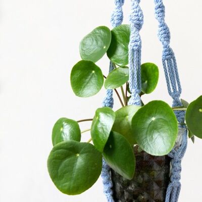 Suspension pour plantes en macramé bleu clair