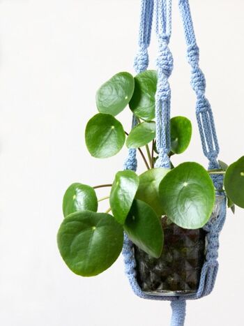 Suspension pour plantes en macramé bleu clair 1