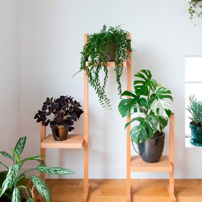 NOPAL - Modular plant stand