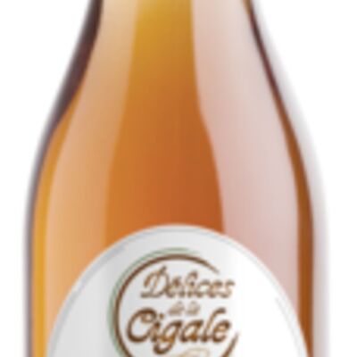 Sirop Artisanal Châtaigne 25 cl