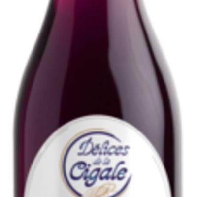 Artisanal Blueberry Syrup 25 cl