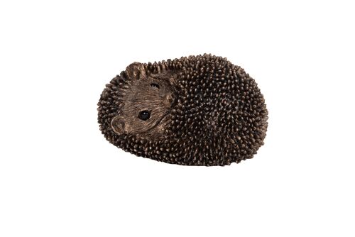 Zippo-Baby Hedgehog Asleep