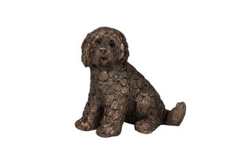 Shorty Labradoodle assis