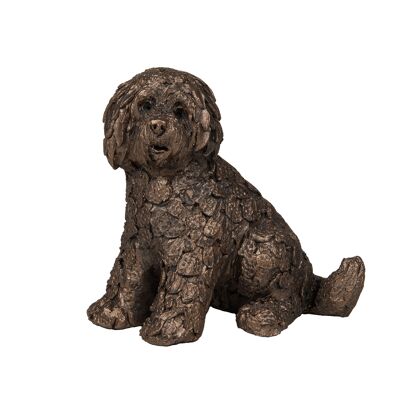 Shorty Labradoodle assis