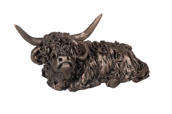 Dougal assis Highland Bull