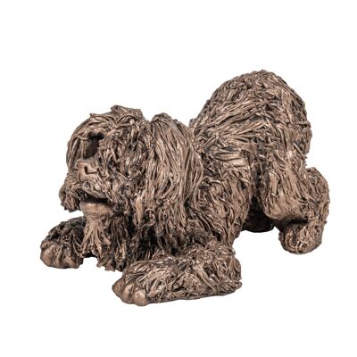 Billy Labradoodle - ¡Quiero jugar!