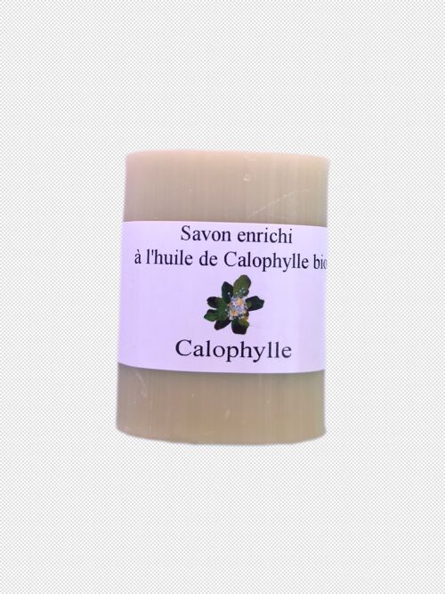 Savon pt'it nature 110 g calophylle
