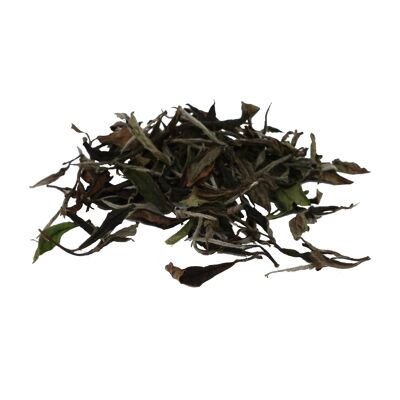 Pinglin White Tea - Whole Leaf Tea (2.5g)