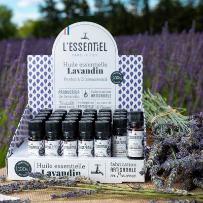 ESPOSIZIONE OLIO ESSENZIALE DI LAVANDA