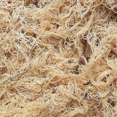 Golden Sea Moss (Irish Moss)