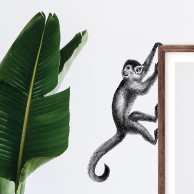 Adesivo da parete scimmia - illustrazione di animali - decorazione murale