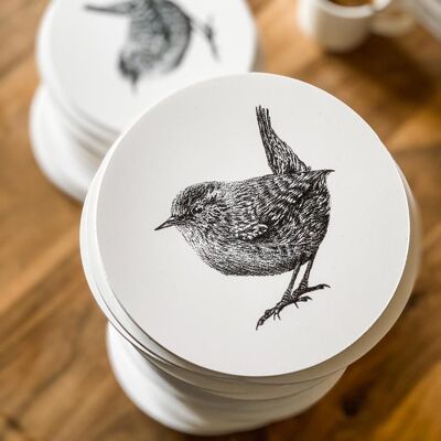 Wall circle wren - bird illustration - wall art