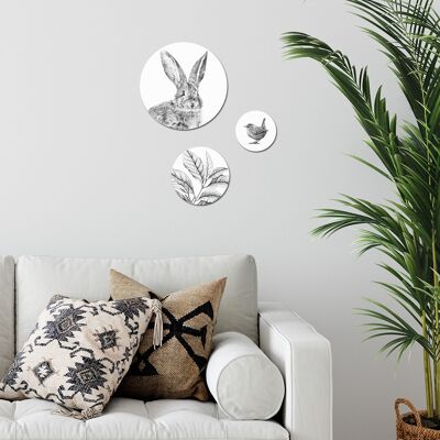 Wall circle rabbit, coffee plant and wren - Set of 3 - wall art