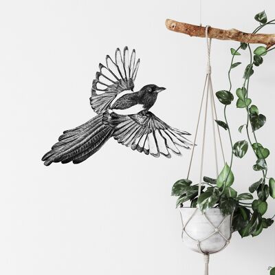 Flying magpie wall decal - bird illustration - wall art