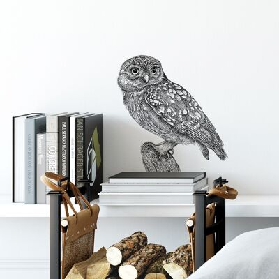 Little owl wall sticker - bird illustration - wall decoration