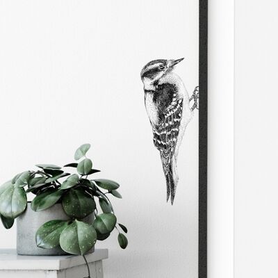 Woodpecker wall sticker - bird illustration - wall decal