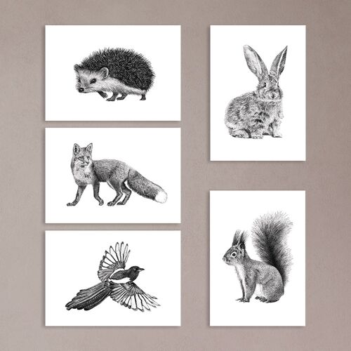 Forest animal prints - animal illustrations - greeting cards
