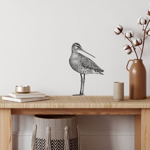 Godwit wall sticker - bird illustration - wall decal