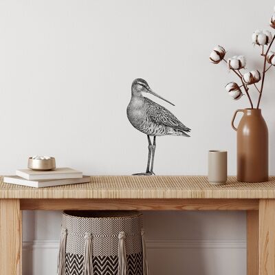 Pegatina de pared Godwit - ilustración de pájaro - calcomanía de pared
