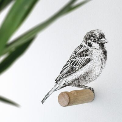 Wall peg sparrow - bird illustration - wall art