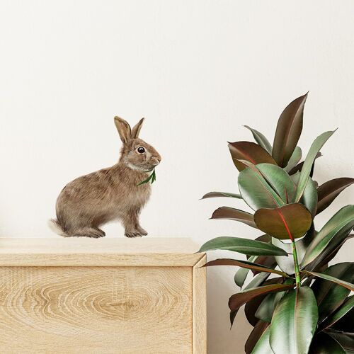 Baby bunny wall sticker - rabbit illustration - wall decoration