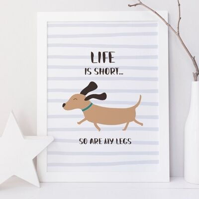 La vita è breve, lo sono anche le mie gambe! Simpatico cane bassotto con salsiccia stampa - Solo stampa A4 (£ 15,00)