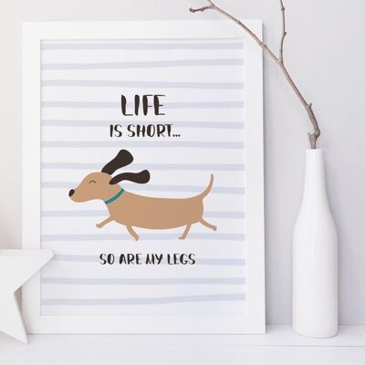 La vida es corta, ¡mis piernas también! Bonito estampado de perro salchicha Dachshund - Solo impresión A3 (£20,00)