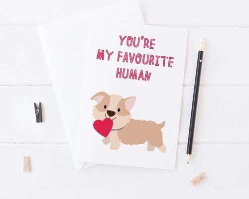 You're My Favourite Human - Cute Dog Love Card for dog lovers, or from the dog