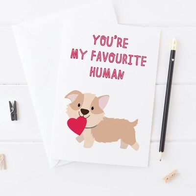 You're My Favourite Human - Cute Dog Love Card for dog lovers, or from the dog