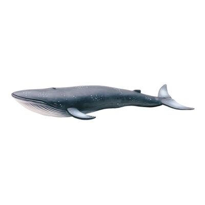 Natural rubber toy blue whale maxi