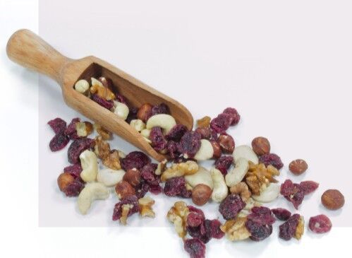 Mendiant Mix di mirtilli rossi BIOLOGICI - cartone 2x2.5 Kg (sottovuoto)