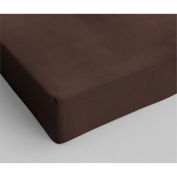 Drap housse 100% coton - 200 x 220 Marron 3