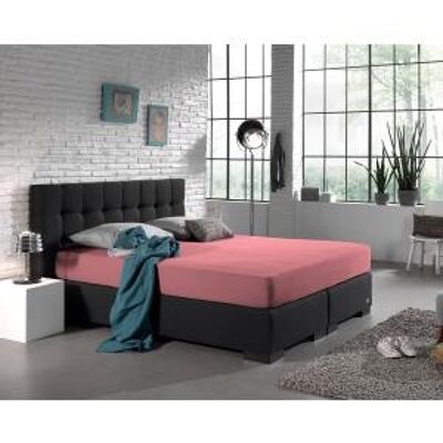 Lenzuolo con angoli Double Jersey 220 gr.-140 x 200/220 Rosa