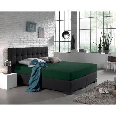 Drap Housse Double Jersey 220 gr.-140 x 200/220 Vert Botanique