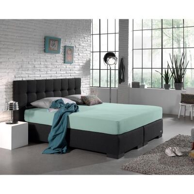Drap Housse Double Jersey 220 gr.-80/90/100 x 200/220 Bleu Pastel