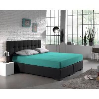 Drap Housse Double Jersey 220 gr.-140 x 200/220 Turquoise