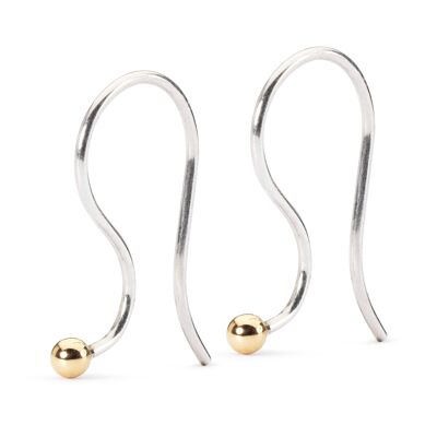 Gold and Silver Hooks for Earrings
