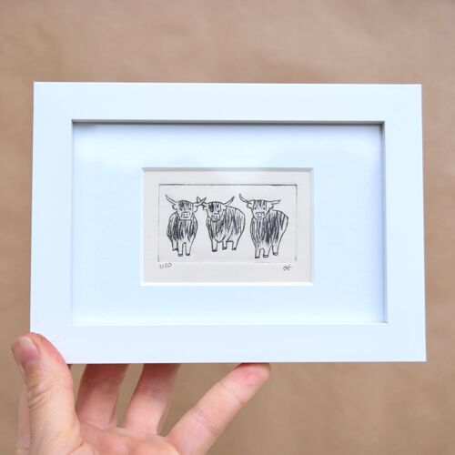 Three highland cows - collagraph print in a white frame