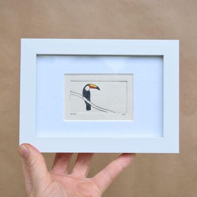 Toucan - collagraph print in a white frame