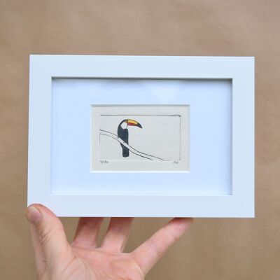 Toucan - impression collagraphique dans un cadre blanc