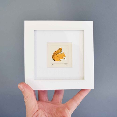 Red squirrel - mini collagraph print in a white frame