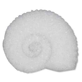 Sucre ammonite blanc x300 5