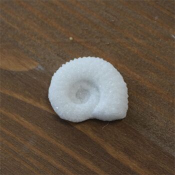 Sucre ammonite blanc x300 1